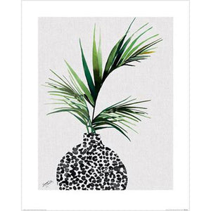 Summer Thornton - Areca Palm Plant 40 x 50cm Art Print