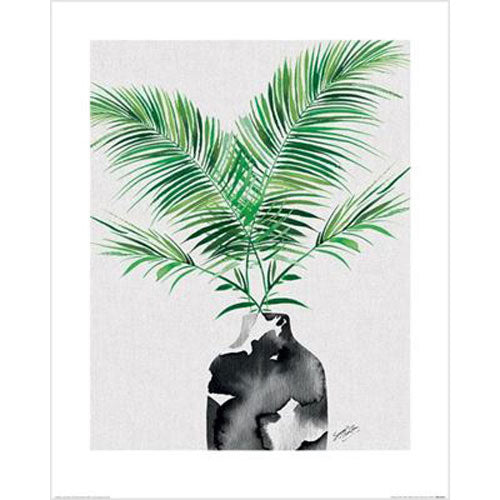 Summer Thornton - Majesty Palm Plant 40 x 50cm Art Print
