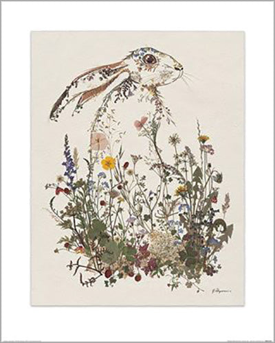 Helen Ahpornsiri - Hiding Hare 40 x 50cm Art Print