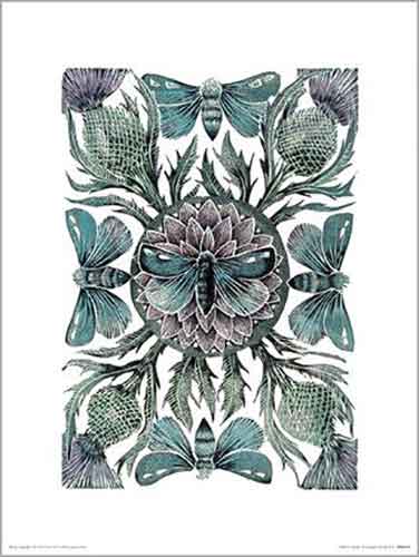 Amanda Colville - Moths & Thistles 30 x 40cm Art Print