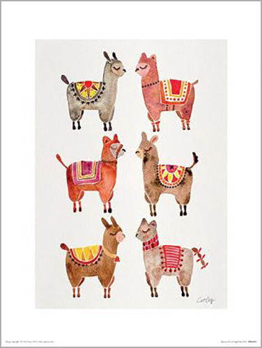 Cat Coquillette - Alpacas 30 x 40cm Art Print