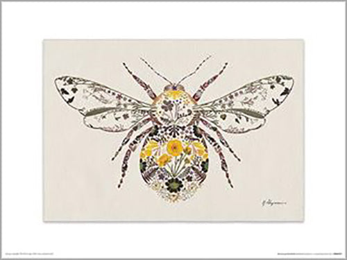 Helen Ahpornsiri - Buttercup Bumblebee 30 x 40cm Art Print