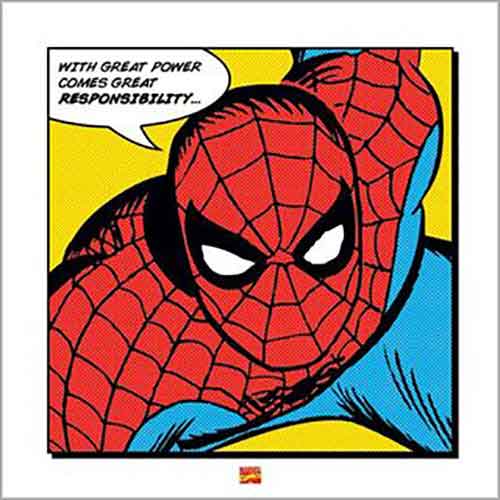 Marvel Comics - Spider-Man Comics Great Power 40 x 40cm Art Print