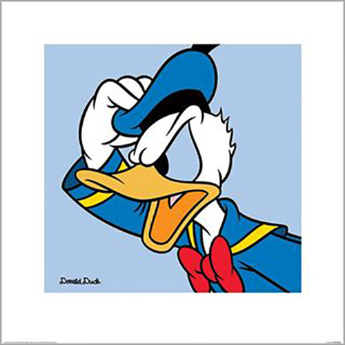 Disney - Donald Duck Blue 40 x 40cm Art Print