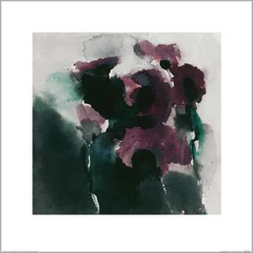 David Ross - Purple Poppies 40 x 40cm Art Print