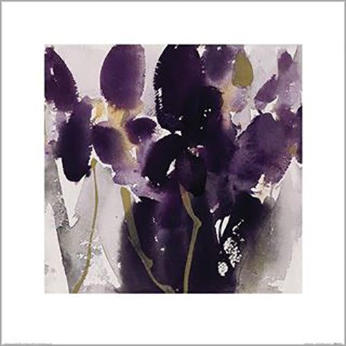 David Ross - Siberian Iris 40 x 40cm Art Print
