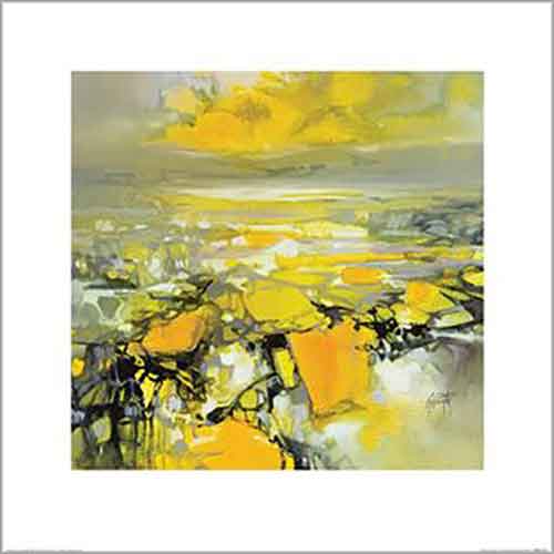 Scott Naismith - Yellow Matter 2 40 x 40cm Art Print