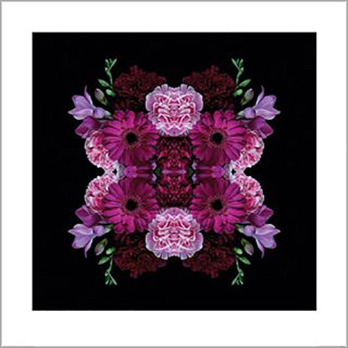 Alyson Fennell - Heavenly Blooms 60 x 60cm Art Print