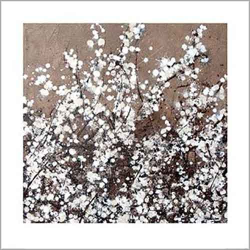 Simon Fairless - White Spring Blossom 60 x 60cm Art Print