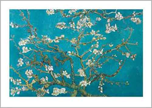 Van Gogh - Almond Blossom 50 x 70cm Art Print