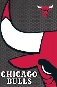 NBA: Chicago Bulls - Logo 2014 Poster