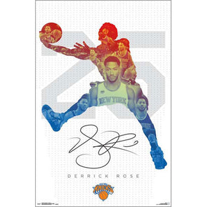 NBA New York Knicks - D Rose 2016 Poster