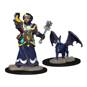 Wardlings - Girl Cleric & Winged Cat Pre-Painted Miniatures