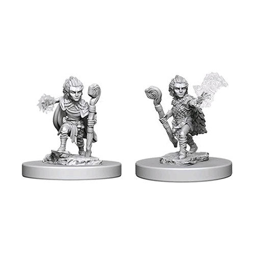 Pathfinder - Deep Cuts Unpainted Miniatures: Gnome Male Druid