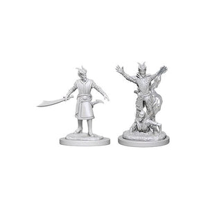 Dungeons & Dragons - Nolzur's Marvelous Unpainted Miniatures: Tiefling Male Warlock