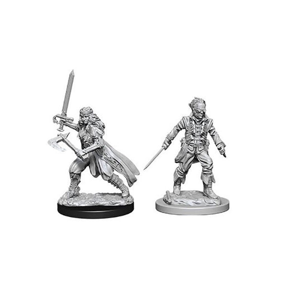 Dungeons & Dragons - Nolzur’s Marvelous Unpainted Miniatures: Vampire Hunters