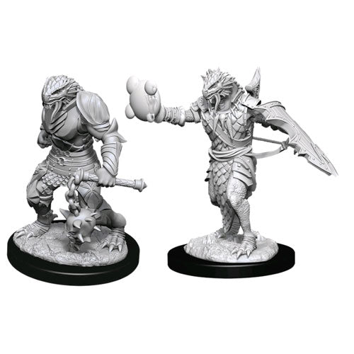 Dungeons & Dragons - Nolzur’s Marvelous Unpainted Minis: Male Dragonborn Paladin