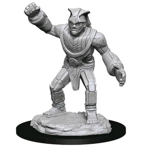 Dungeons & Dragons - Nolzur’s Marvelous Unpainted Minis: Stone Golem