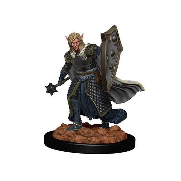 Dungeons & Dragons - Premium Elf Male Cleric Miniature