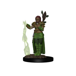 Dungeons & Dragons - Premium Human Female Druid Miniature